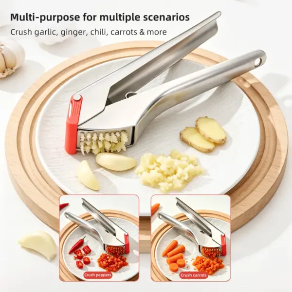 Walfos 304 Stainless Steel Garlic Press Walfos 304 Stainless Steel Garlic Press